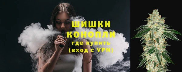 круглые Осинники