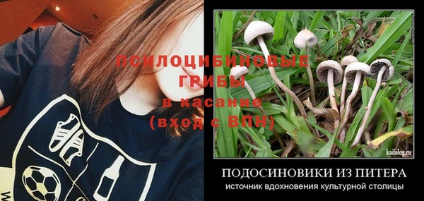 ешки Остров